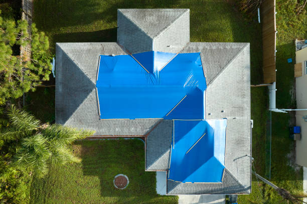 Best Asphalt Shingles Roofing  in Jesup, IA