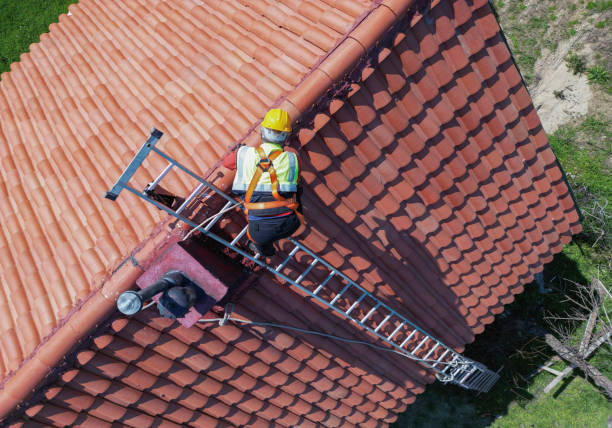 Best Skylight Installation and Repair  in Jesup, IA