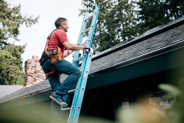Best Green or Eco-Friendly Roofing Solutions  in Jesup, IA