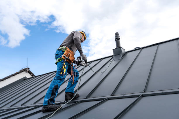 Best Metal Roofing Installation  in Jesup, IA